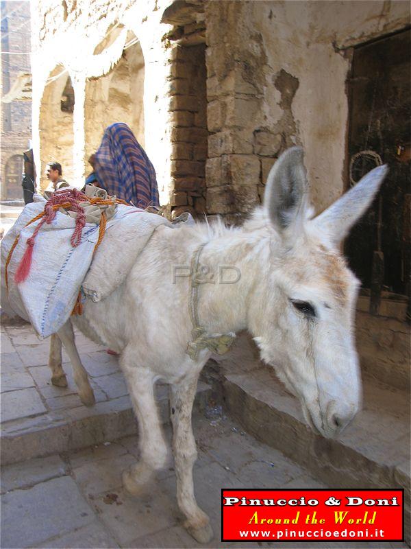 Yemen - Thula (Cistern and Village) - 21.jpg